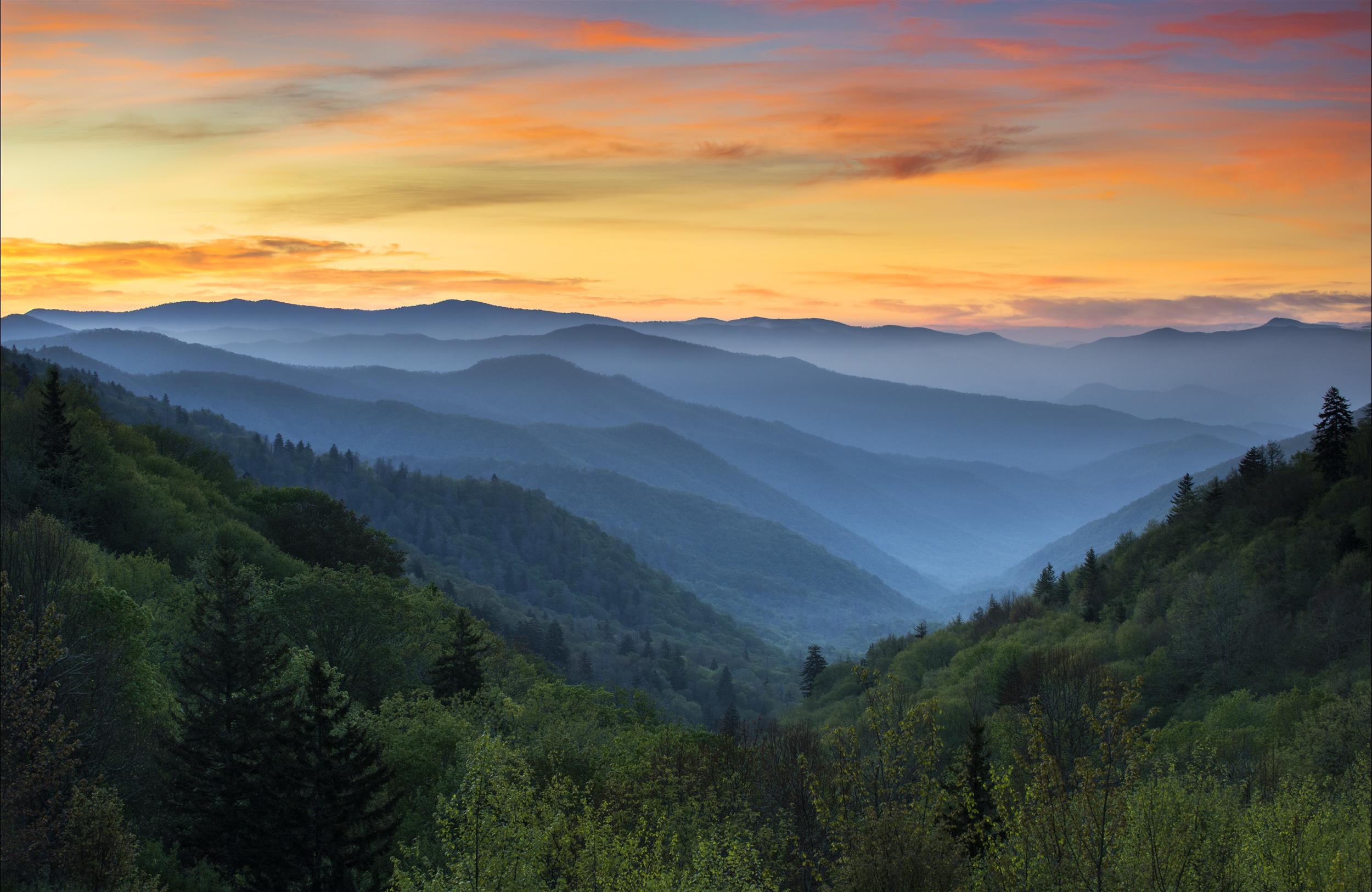 Things To Do In Asheville & Blue Ridge